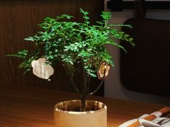 -CURRY YA 熟成咖哩專門店(深圳湾万象城店)