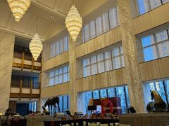 -康莱德酒店·美庭自助餐厅
