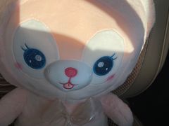 -PAWTOY爪e玩偶店(天兴罗斯福店)