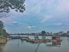 -洪湖生态旅游区