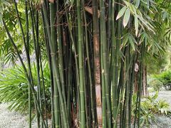 -晓港公园