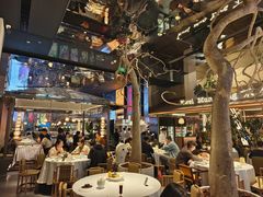 -桂满陇·海市蜃楼·黑金(国金店)