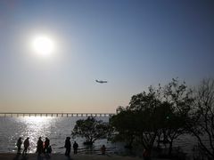 -宝安西湾红树林湿地公园