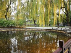 -玲珑塔公园