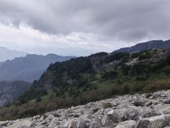 -朱雀国家森林公园