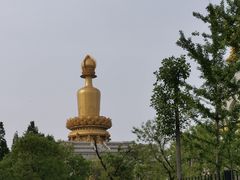-兴隆文化园景区