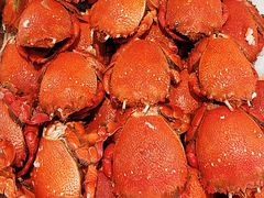 -粤海璇宫·木棉花高空旋转餐厅·聚会派对