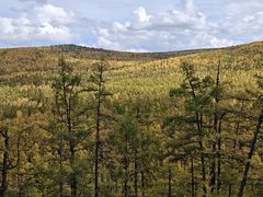 -莫尔道嘎国家森林公园