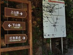 -大岭沟猕猴桃谷风景区