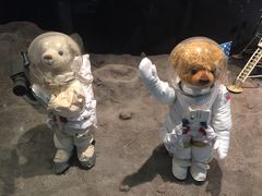 -济州岛泰迪熊博物馆