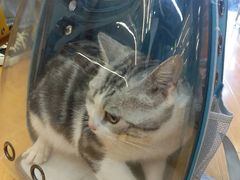 -袖虎宠物(锦绣生态园店)