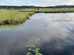 -塞罕坝国家级自然保护区