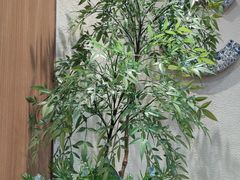 -霸王茶姬(正佳广场店)