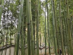 -柳侯公园