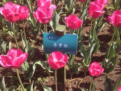 -长春公园(普阳街道)