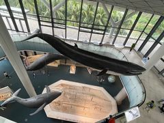 -中国（海南）南海博物馆