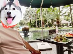 -三亚湾海居铂尔曼度假酒店