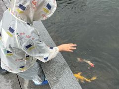 -西湖国宾馆·紫薇厅