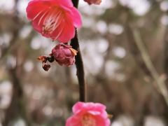-白塘生态植物园