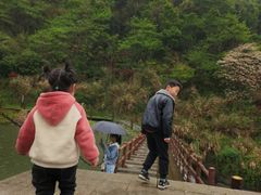 -梅岭月亮湾山体公园