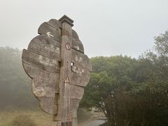 -梧桐山风景名胜区