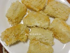 -金砂阿洲鱼册店