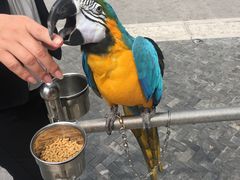 门面-那家小馆•北京菜•烤鸭(中关村店)