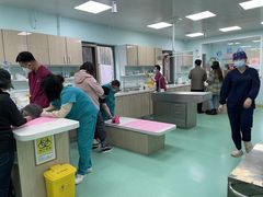 -北京观赏动物医院·24小时大型综合·猫专科·异宠专科