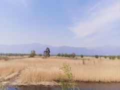 -野鸭湖国家湿地公园