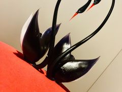 -BLACKSWAN黑天鹅(环球店)