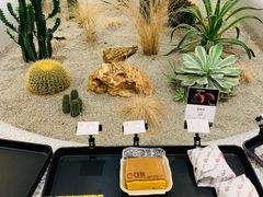 -OUR Bakery(SKP-S店)