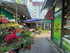 -曲阳花鸟市场(曲阳路店)