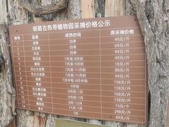 -呀路古热带植物园