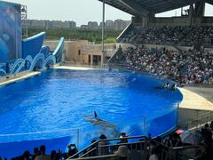 -上海海昌海洋公园