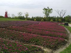 -同里国家湿地公园