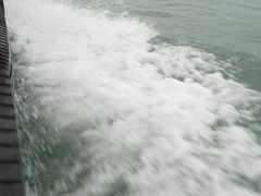 -徐记海鲜(汉城湖|太奥店)