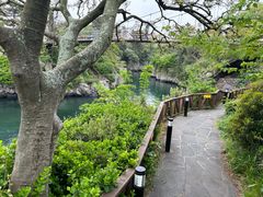 -龙头岩(Dragon Head Rock)
