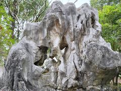-南汇桃花村