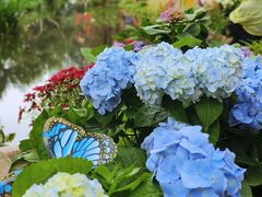 -人民公园(罗湖区)