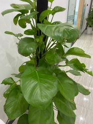 -悟空祛痘·亚健康皮肤管理中心