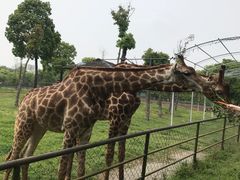 -常州淹城野生动物世界