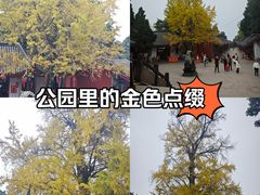 -金堂县云顶石城风景区