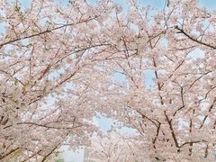 -杭州城北体育公园