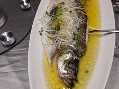 -峨嵋酒家(熙悦天街店)