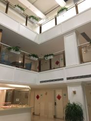 -盈月阁母婴护理中心·月子中心·月嫂育儿嫂