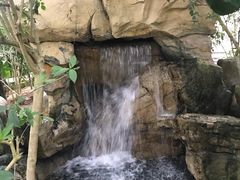 -南山植物园