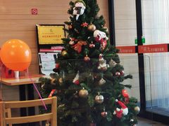 -阿九笨鸡蛋手擀面(总店)