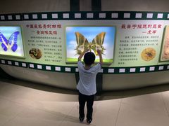 -上海昆虫博物馆