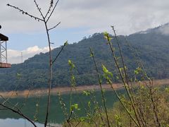 -广州市流溪河国家森林公园