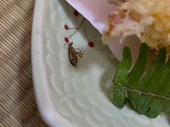 -大江户日本料理(吕厝店)